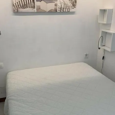 T1 Classe 3 Etoiles Avec Animaux Admis Et Climatisation - Fr-1-571-49 Apartment Balaruc-les-Bains
