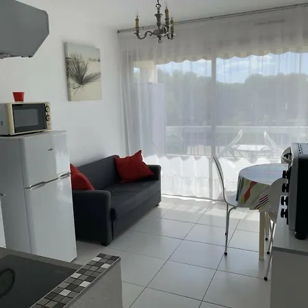 Apartment T1 Classe 3 Etoiles Avec Animaux Admis Et Climatisation - Fr-1-571-49