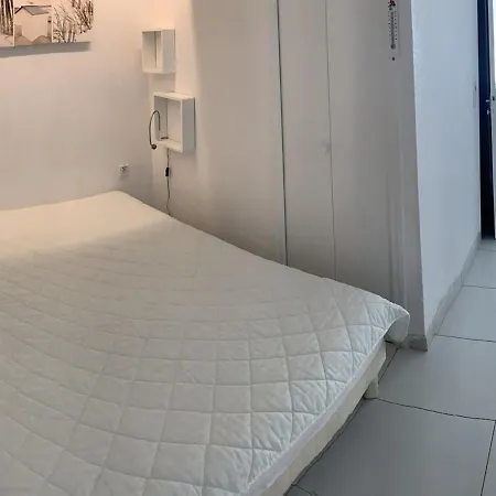 T1 Classe 3 Etoiles Avec Animaux Admis Et Climatisation - Fr-1-571-49 Apartment *