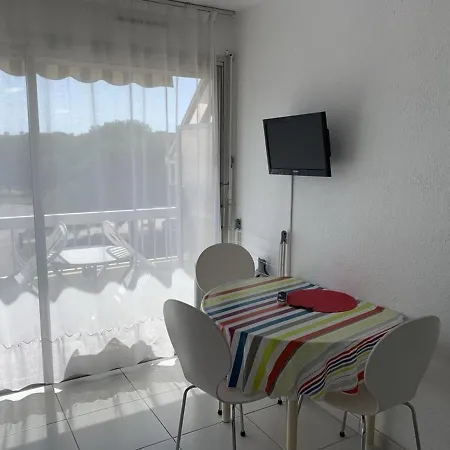 Apartment T1 Classe 3 Etoiles Avec Animaux Admis Et Climatisation - Fr-1-571-49 Balaruc-les-Bains