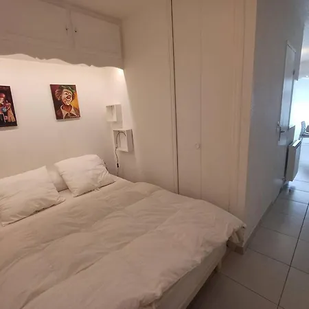 T1 Classé 3 étoiles Avec Animaux Admis Et Climatisation - Fr-1-571-49 Apartamento *