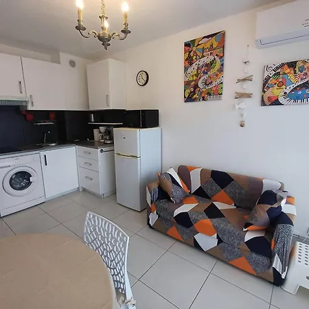 Apartamento T1 Classé 3 étoiles Avec Animaux Admis Et Climatisation - Fr-1-571-49