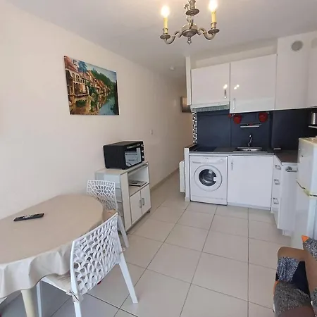 Apartamento T1 Classé 3 étoiles Avec Animaux Admis Et Climatisation - Fr-1-571-49